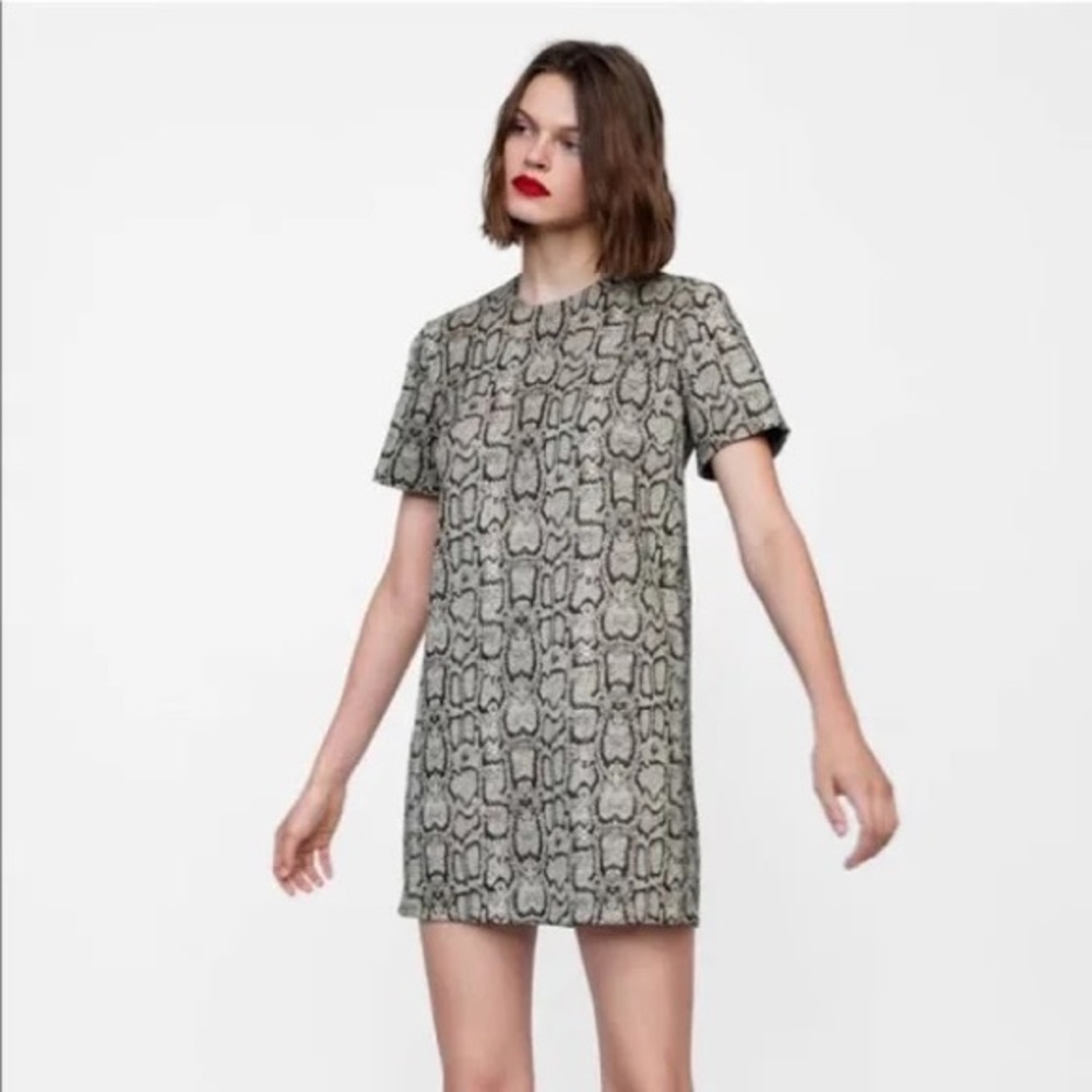 Zara snake print dress